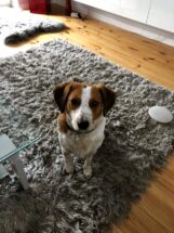 psy74234625_2493512154071793_4829692644202381312_n-20191027