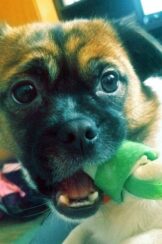 psy74343475_1709875759143233_1320317300917665792_n-20191027