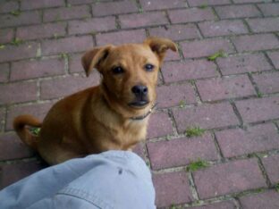 psy74376065_1212665142276504_2642725314605613056_o-20191027