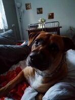 psy74664668_2509378825959924_469101267281510400_n-20191027