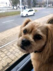 psy74670810_2459242434343907_2450190043919155200_n-20191027