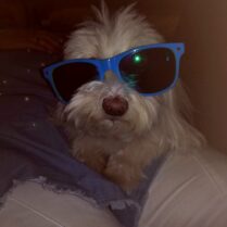 psy74674423_2498631503586349_2860692748804030464_n-20191027