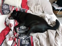 psy74701615_2463187787082622_760638532027940864_o (1)-20191027