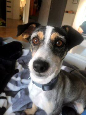 psy74906652_2483568438345964_6697789232238297088_n-20191027