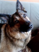 psy74912306_2570620526310312_4936237996698501120_n (1)-20191027