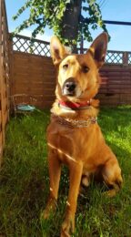 psy75196339_1458565944296598_5873455334483296256_n-20191027