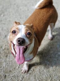 psy75279230_10221833193007568_7280395391252561920_n-20191027