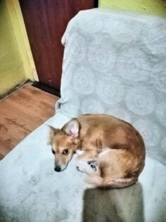 psy75282258_205269413803442_6326529291349655552_n-20191027