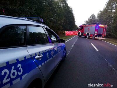 Wypadek za Brzezinką. Nie żyje 26-letni mężczyzna