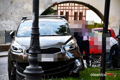 Kierująca autem wjechała w ogrodzenie przy pomniku