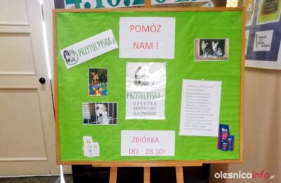 Zbiórka darów dla Przytul Pyska w Szkole Podstawowej nr 2