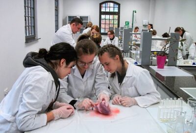 Ciekawy projekty dla uczniów II LO