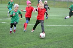 apo_dobroszyce74788556_2544778375608646_8512039312773087232_o-20191110