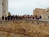 appasionata73071973_537935146990253_1382435769401999360_n-001