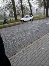 miszcze_parkowania10-20191108