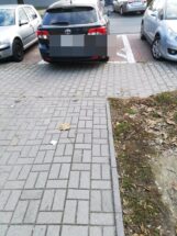 miszcze_parkowania11-20191108