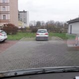 miszcze_parkowania18-20191108