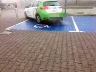 miszcze_parkowania20-20191108