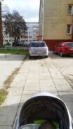 miszcze_parkowania22-20191108