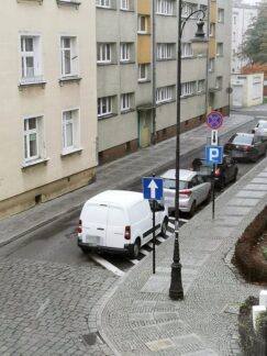 miszcze_parkowania3-20191108