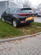 miszcze_parkowania8-20191108