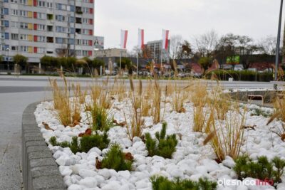 Plac Zwycięstwa już gotowy. Dzisiaj odbyło się uroczyste otwarcie [ZDJĘCIA, WIDEO]