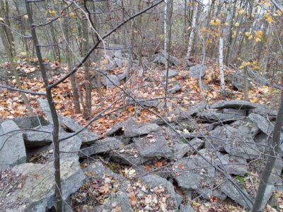 Wybrali firmę i zaczyna się porządkowanie terenu pod Park Południowy