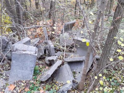 Głos w sprawie budowy Parku Południowego