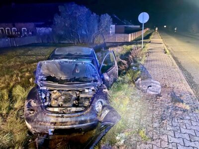 Strażacy interweniowali na miejscu wypadku