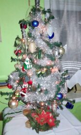 choinki79545731_10214828206569493_8056419247754051584_o-20191224