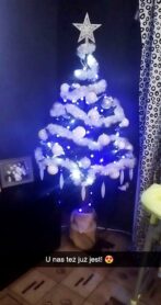 choinki79803306_3448321035240349_9114852859123335168_o-20191224