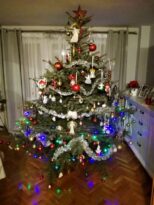 choinki79855049_155323935758311_9124145939991232512_o-20191224