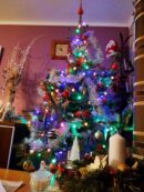 choinki79953268_2658784110902037_4630126967318904832_o-20191224