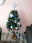 choinki79954733_2797986416919253_3634724874351542272_o-20191224