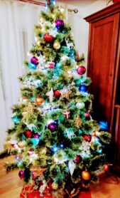 choinki79974216_10221387309142477_3293783584346734592_o-20191224