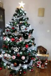 choinki80186380_1519306248223124_8131085050876788736_o-20191224