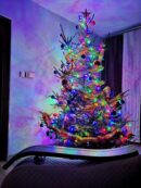 choinki80227181_2592465597534102_5547746962037538816_o-20191224