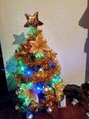 choinki80231591_218549469142103_6612699607912677376_o-20191224