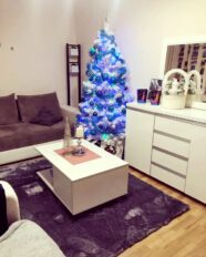 choinki80296148_2710617902365361_8988298877492789248_n-20191224