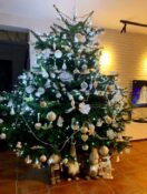 choinki80357102_3331489463591851_3551392484355473408_n-20191224