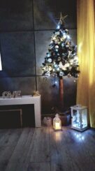 choinki80373461_2436558346471143_3843954622788009984_o-20191224