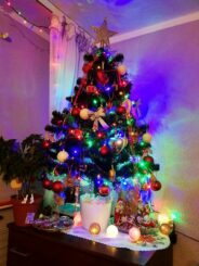 choinki80407915_2841190072598624_8160045263734439936_o-20191224