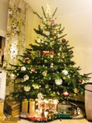 choinki80471591_3515808365157161_2366220336610934784_n-20191224