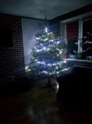 choinki80504138_250481419257220_5294826551408328704_o-20191224