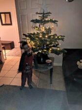 choinki80556969_1996884650456958_7737307859175604224_o-20191224