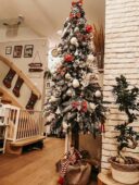 choinki80568174_2884360124927934_8275320961893400576_o-20191224