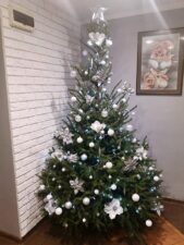 choinki80634975_2671979502859794_582549701669158912_o-20191224