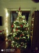 choinki80693751_10213812681546034_8150449044074790912_o-20191224