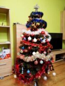 choinki80802605_2324157797689073_3438214787526295552_o-20191224