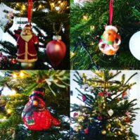 choinki80822150_2642122992537612_8613585207372546048_o-20191224